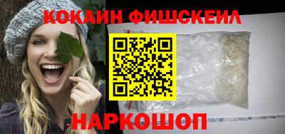 гидра Заводоуковск