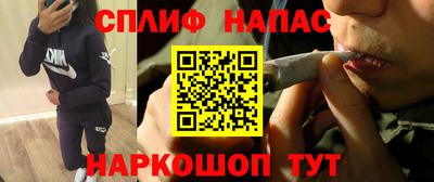 гидра Заводоуковск