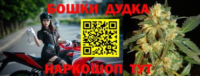 гидра Заводоуковск