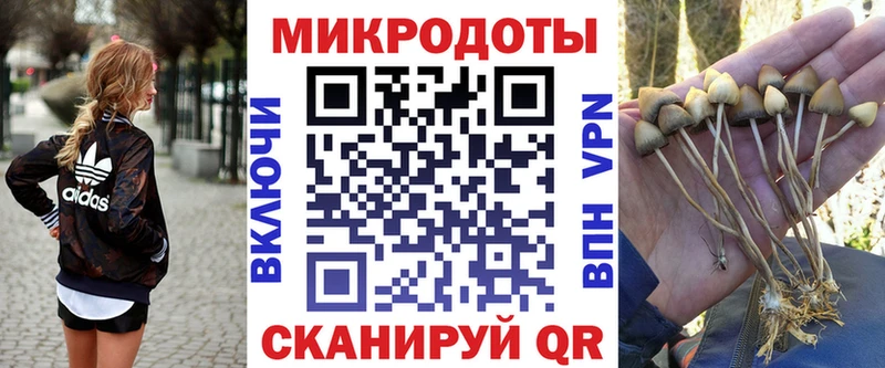 Псилоцибиновые грибы MAGIC MUSHROOMS  Черкесск 