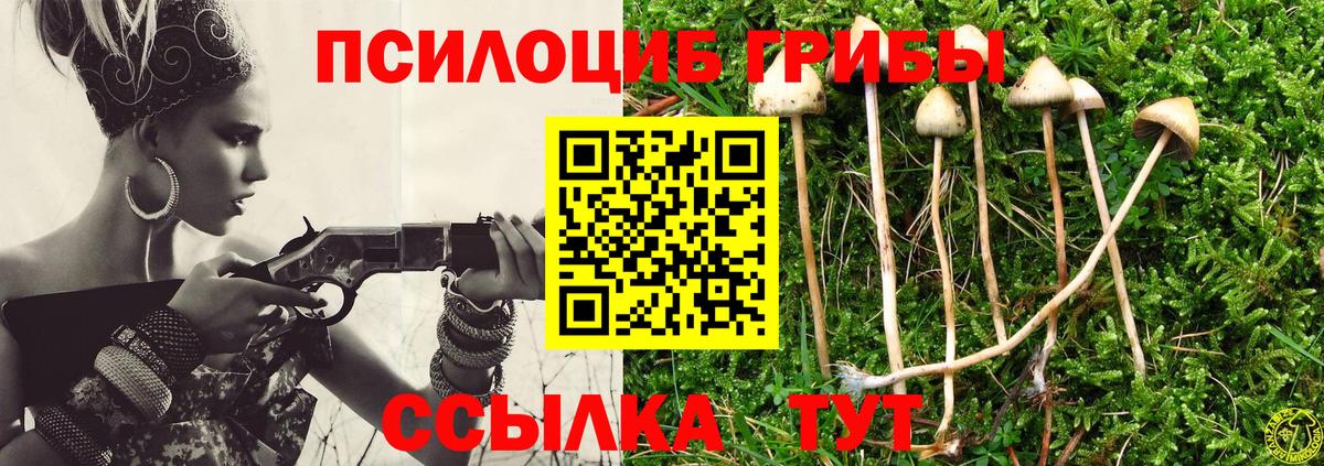 Псилоцибиновые грибы мухоморы  как найти наркотики  Черкесск  Псилоцибиновые грибы Psilocybine cubensis 