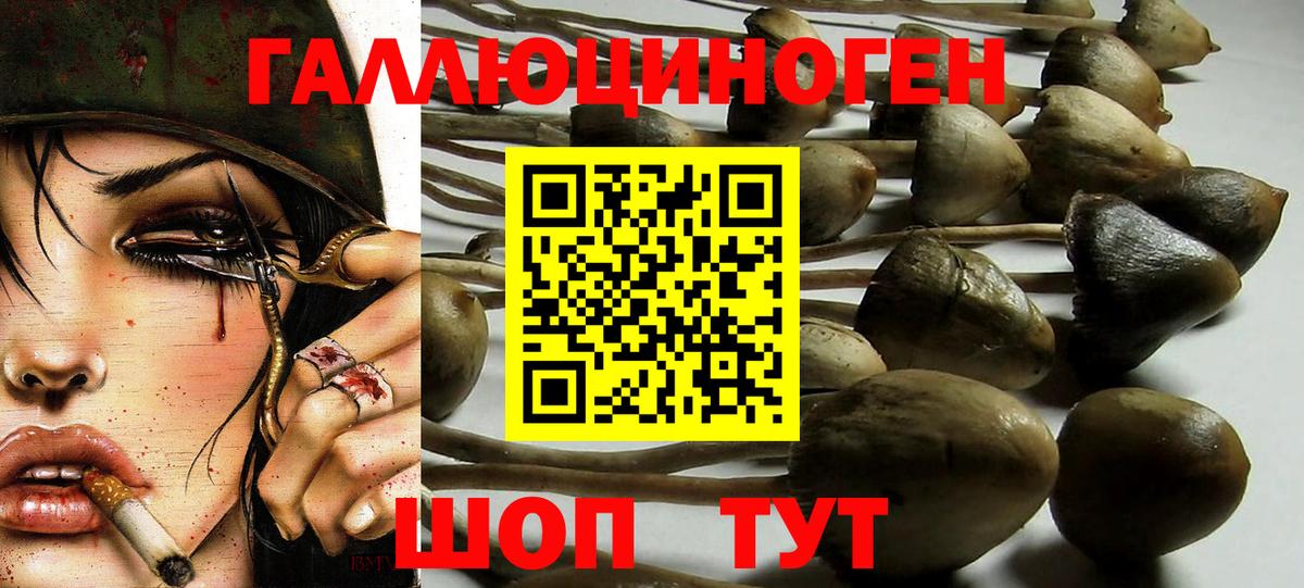 Галлюциногенные грибы мицелий  Вход с VPN  Черкесск 