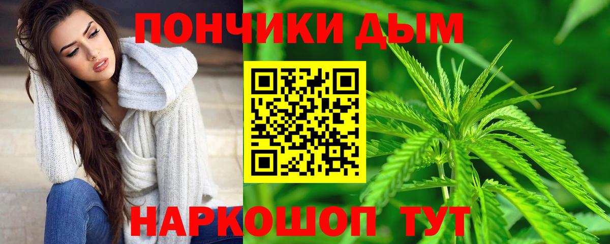 Конопля ГИДРОПОН  Вход с VPN  Конопля индика  Черкесск  Марихуана конопля 